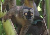 Mayotte, découverte d'une île sauvage et préservée